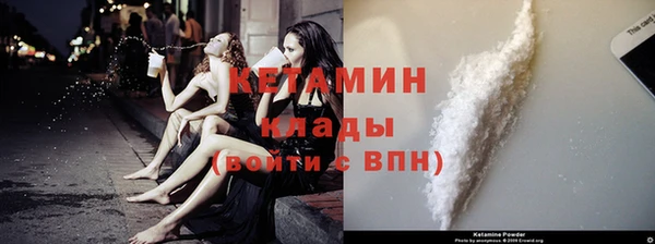 индика Абаза
