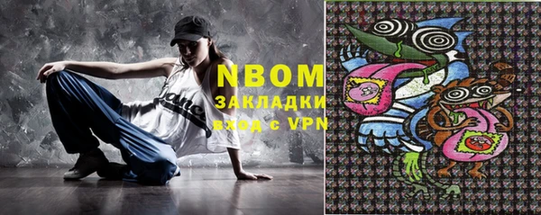 индика Абаза