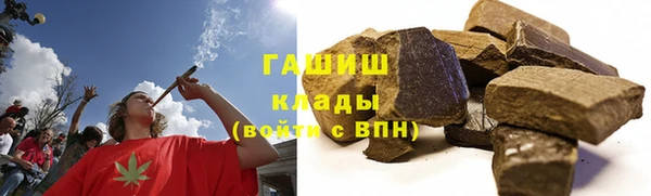 индика Абаза