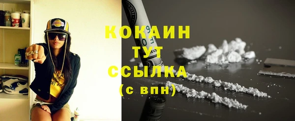 индика Абаза