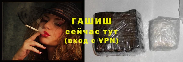 индика Абаза