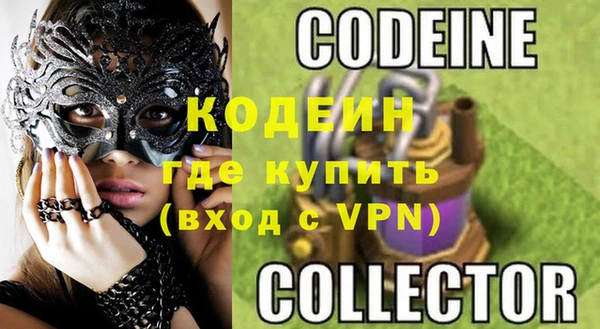 индика Абаза
