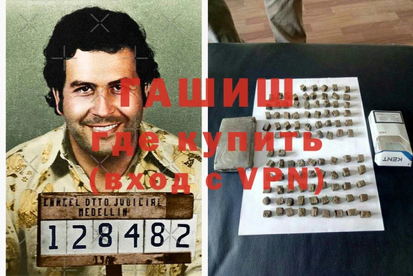индика Абаза