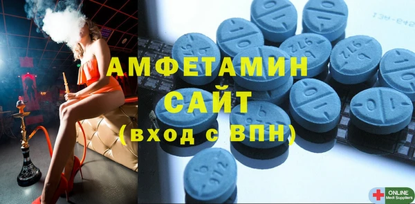 индика Абаза