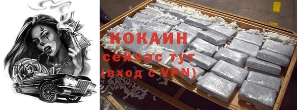 индика Абаза
