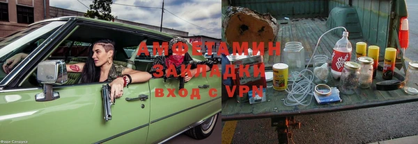 индика Абаза