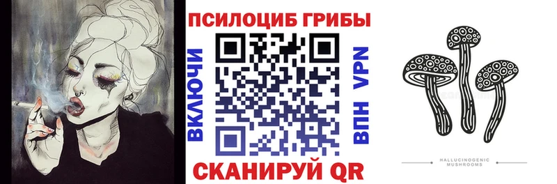 Галлюциногенные грибы прущие грибы kraken tor Урус-Мартан