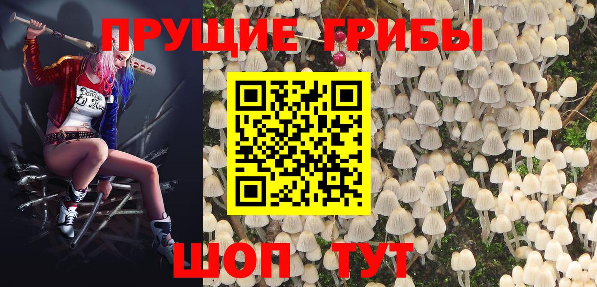 Псилоцибиновые грибы ЛСД Урус-Мартан