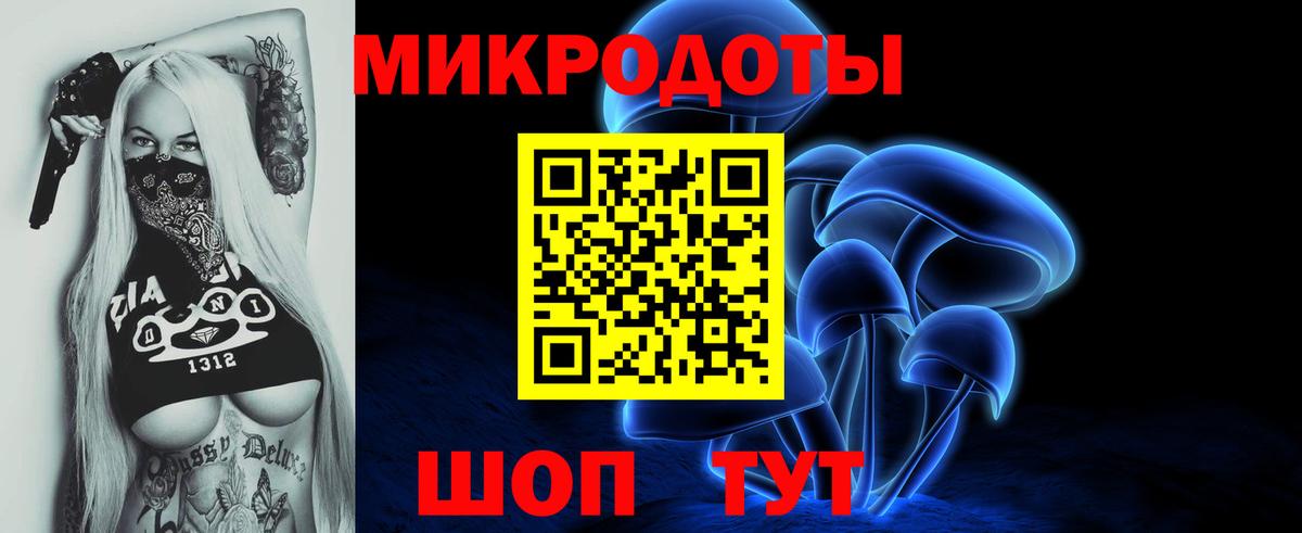 Псилоцибиновые грибы Psilocybe  Вход с VPN  Урус-Мартан 